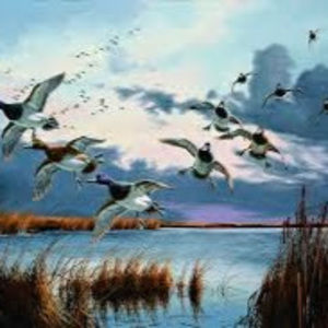 Meet your Posher, Parker